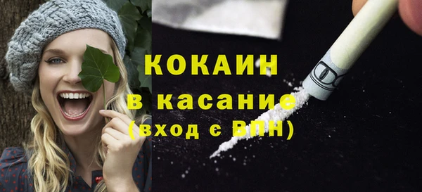сатива Вязники