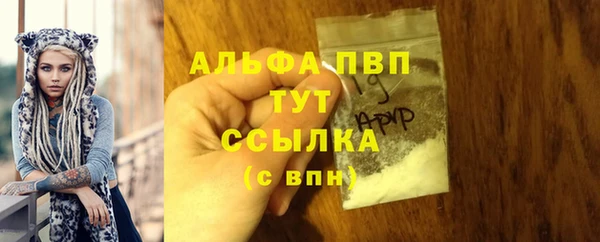 сатива Вязники