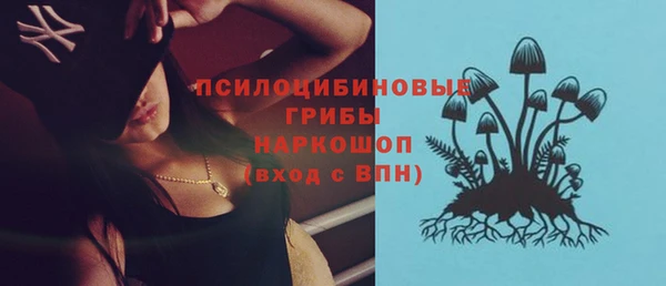 сатива Вязники
