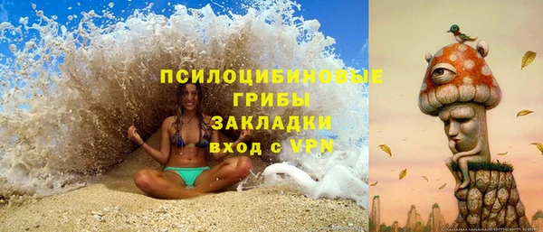 сатива Вязники