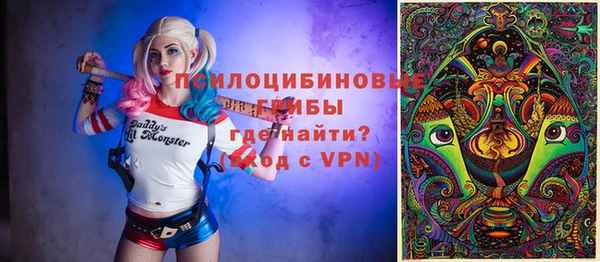 сатива Вязники