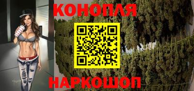 амф Гатчина