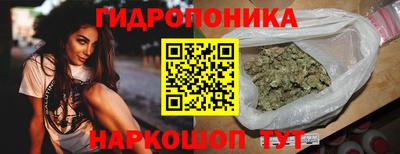 амф Гатчина