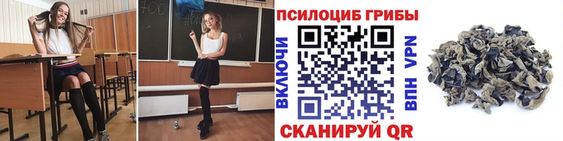 продажа наркотиков  Можга  Галлюциногенные грибы MAGIC MUSHROOMS 