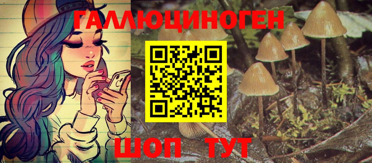 Псилоцибиновые грибы Psilocybe  Вход с VPN  Можга 