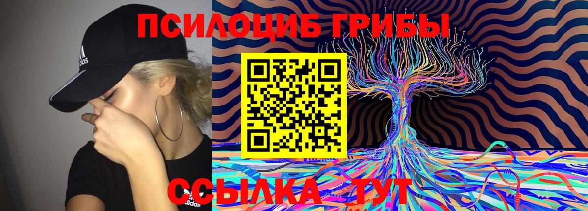 Псилоцибиновые грибы ЛСД  хочу   Псилоцибиновые грибы Cubensis  Можга 