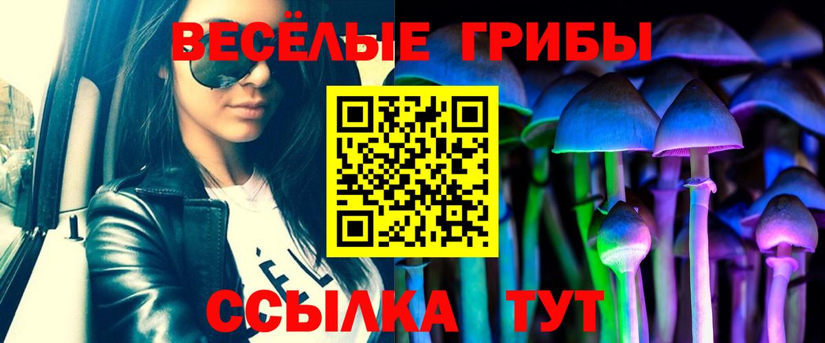 Галлюциногенные грибы мухоморы Можга