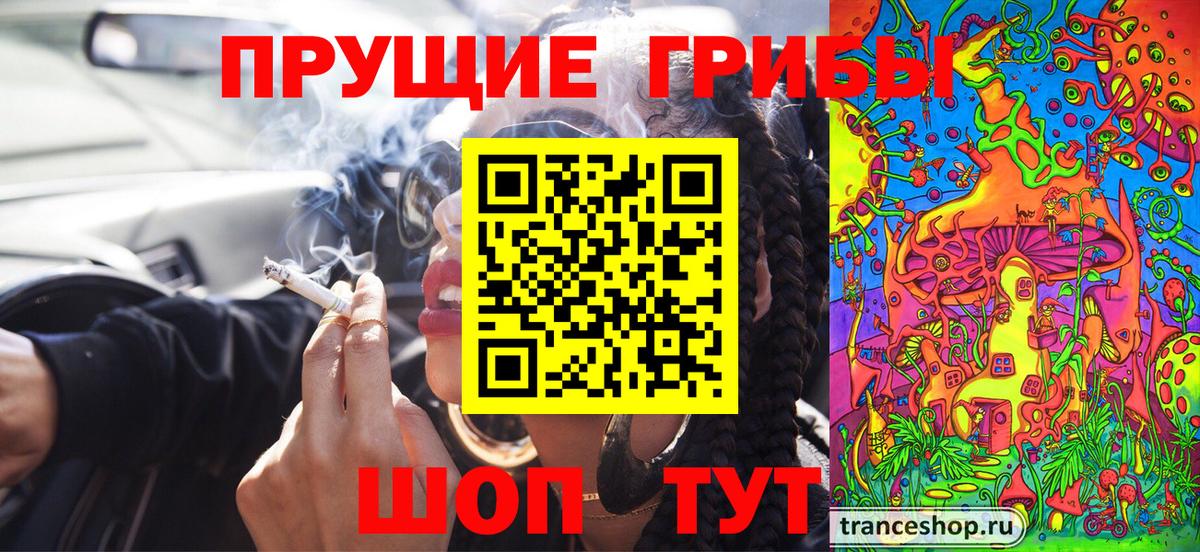 Галлюциногенные грибы Cubensis Можга